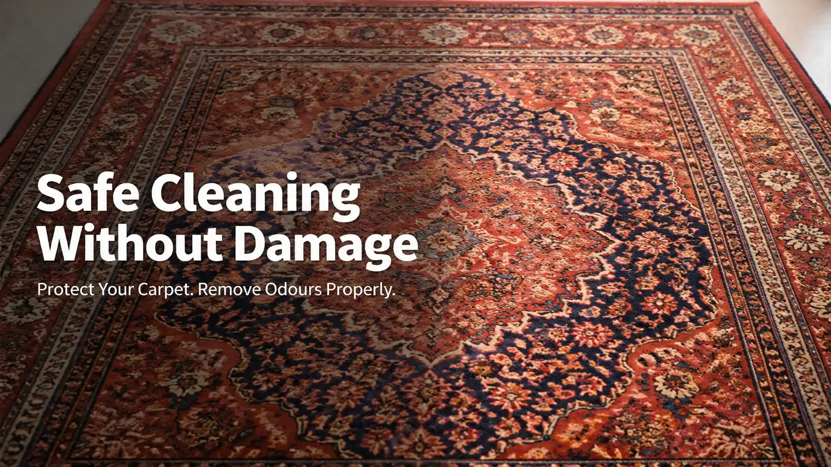 Why Cleaning Vomit from Carpet Requires Immediate Action